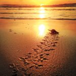 article image - 